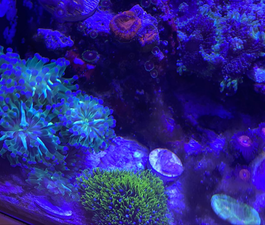 tempImagebhum9W.jpg