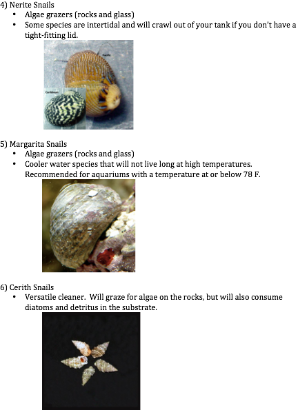 upload_2014-4-11_20-37-26.png