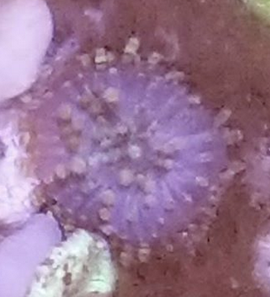 upload_2018-10-15_22-59-17.png