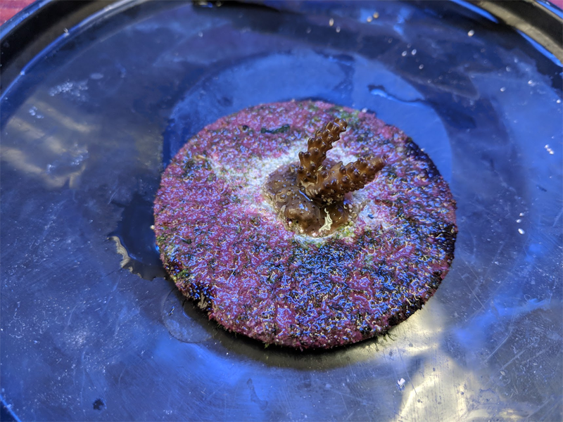 upload_2018-10-19_11-43-52.png