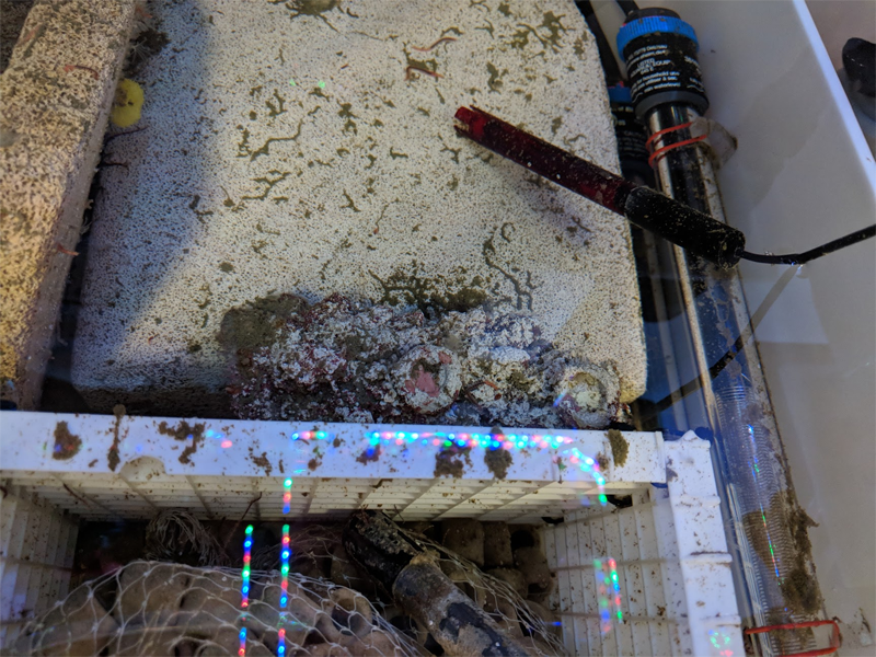 upload_2018-9-18_15-44-38.png