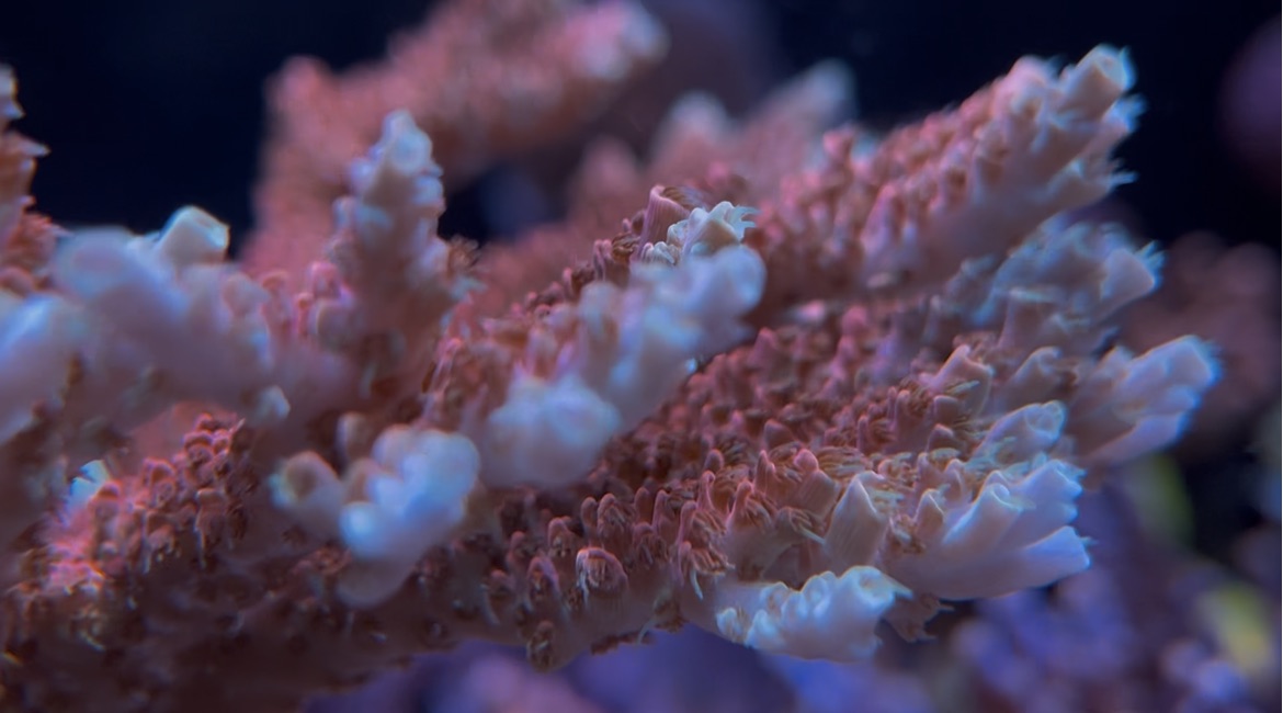 View recent photos 2.jpeg