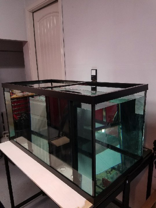 Water.jpg
