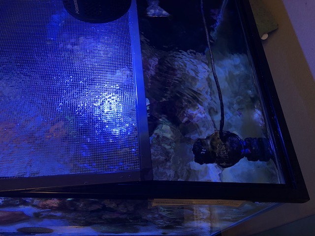 Wet-Screen.jpg