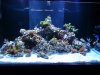20130818_223557.jpg