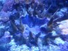 20141021_204954.jpg