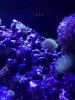 33CA0E00-D312-4421-B67F-50857CC6ED38.jpeg