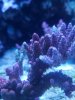 20200708_121531.jpg