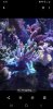 Screenshot_20200724-185944_Photos.jpg
