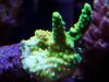 20200816_154316.jpg