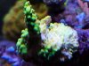 20200816_154258.jpg