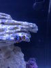 304F3499-63A0-43A3-94BF-CC320F8AD8BE.jpeg
