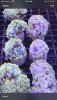 8EE63AAB-644D-40D8-B38B-48A6E34C9569.jpeg