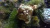 WIN_20201010_17_05_11_Pro.jpg