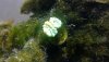 WIN_20201010_17_05_34_Pro.jpg