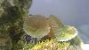 WIN_20201010_17_05_59_Pro.jpg