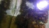WIN_20201010_17_06_20_Pro.jpg