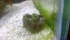WIN_20201010_17_06_31_Pro.jpg