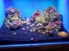 20201121_151252.jpg