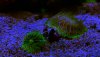 129CA4BF-EBE4-48F3-9BCB-3D9C3200D166.jpeg