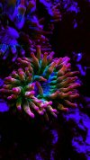3D5D70F0-A540-44C3-AF29-46042C082C75.jpeg