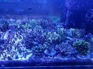 20210124_155554.jpg