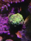 455D444B-CC26-4F64-BDC9-06170AC18CB5.jpeg