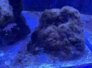 46E09319-75F9-4564-92C3-9BB886A9BCE9.jpeg