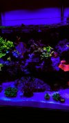 B28364B1-26F7-49A8-888B-E3C434B74471.jpeg