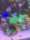 30C33782-0091-4E4F-A9B9-0225B1C1AC79.jpeg