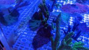 PXL_20211220_013151579.MP.jpg