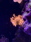 1C18651F-E1D6-4258-A925-F258D5AE2C0D.jpeg