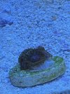 IMG_0729.jpeg