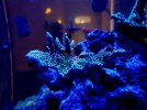 20191128_092349.jpg