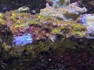 851CFCDD-B1C8-4CE5-B761-2F0C1A18BC21.jpeg