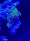 E4FBD654-71BD-42C4-9ADE-B047A2971985.jpeg