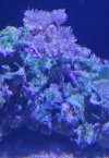 20220420_163115.jpg