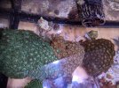 PXL_20220426_050201720.jpg