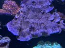 D651402F-E333-4E49-9914-FF10162F9012.jpeg