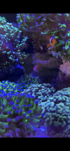 B8F9238C-6D56-4F29-A2A6-FA89703DFDC6.png