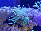 20220915_182739.jpg