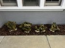 IMG_2593 2.JPG