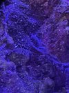 IMG_5763.jpeg