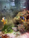 IMG_1623.jpeg