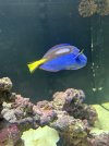 IMG_3559.jpeg