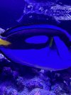 IMG_3557.jpeg