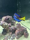 IMG_3551.jpeg