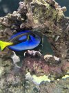IMG_3549.jpeg