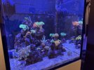 IMG_5809.jpeg