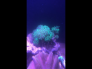 DA5E575E-79FB-4B3A-B821-B3FAB54BE46D.png